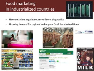 The role of informal food markets—Towards professionalizing, not criminalizing