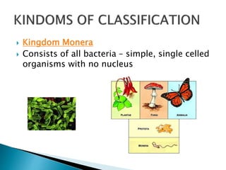 Monera Definition Unit 11 biodiversity and classification | PPTX