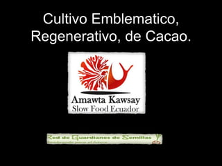 Cultivo Emblematico,
Regenerativo, de Cacao.
 