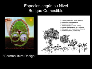 Presentación de Rogelio Simbaña (Ecuador) - Seminario Internacional Pueblos Indígenas