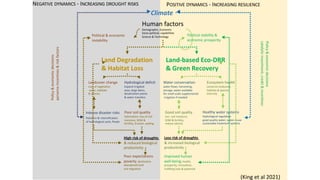 Water conservation
water flows, harvesting,
storage, water available
for small-scale supplemental
irrigation if needed
Ecosystem health
conserve landcover,
habitats & species
diversity
Good soil quality
incr. soil moisture,
SOM & fertility,
reduce salinity
Healthy water systems
Hydrological regulation
good quality water, water reuse
sustainable treatment systems
Landcover change
Loss of vegetation
cover, habitats
& species
Hydrological deficit
Expand irrigated
area, large dams,
desalination plants
& water transfers
Intense disaster risks
Pollution & intensification
of hydrological cycle, floods
Poor soil quality
Salinization, loss of soil
moisture, SOM &
fertility, Erosion, sealing
Less risk of droughts
& increased biological
productivity
Improved human
well-being, health,
prosperity, innovation,
Fulfilling lives & potential
High risk of droughts
& reduced biological
productivity
Poor expectations
poverty, destitution
abandoned land
out-migration
Land Degradation
& Habitat Loss
Land-based Eco-DRR
& Green Recovery
Human factors
Demographic, Economic
Socio-political, capabilities
Science & Technology
Political & economic
instability
Political stability &
economic prosperity
Policy
&
economic
decisions
perverse
incentives
&
risk
factors
Policy
&
economic
decisions
catalytic
investment,
credit
&
incentives
Climate
NEGATIVE DYNAMICS - INCREASING DROUGHT RISKS POSITIVE DYNAMICS - INCREASING RESILIENCE
(King et al 2021)
 