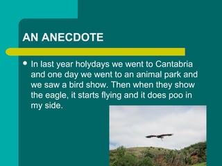 AN ANECDOTE
? In last year holydays we went to Cantabria
and one day we went to an animal park and
we saw a bird show. Then when they show
the eagle, it starts flying and it does poo in
my side.
 