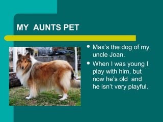 MY AUNTS PET
? Maxs the dog of my
uncle Joan.
? When I was young I
play with him, but
now hes old and
he isnt very playful.
 