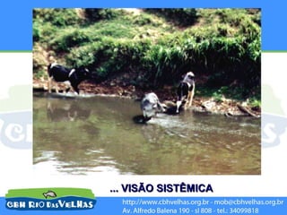 ... VISÃO SISTÊMICA
 