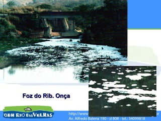 Foz do Rib. Onça
 