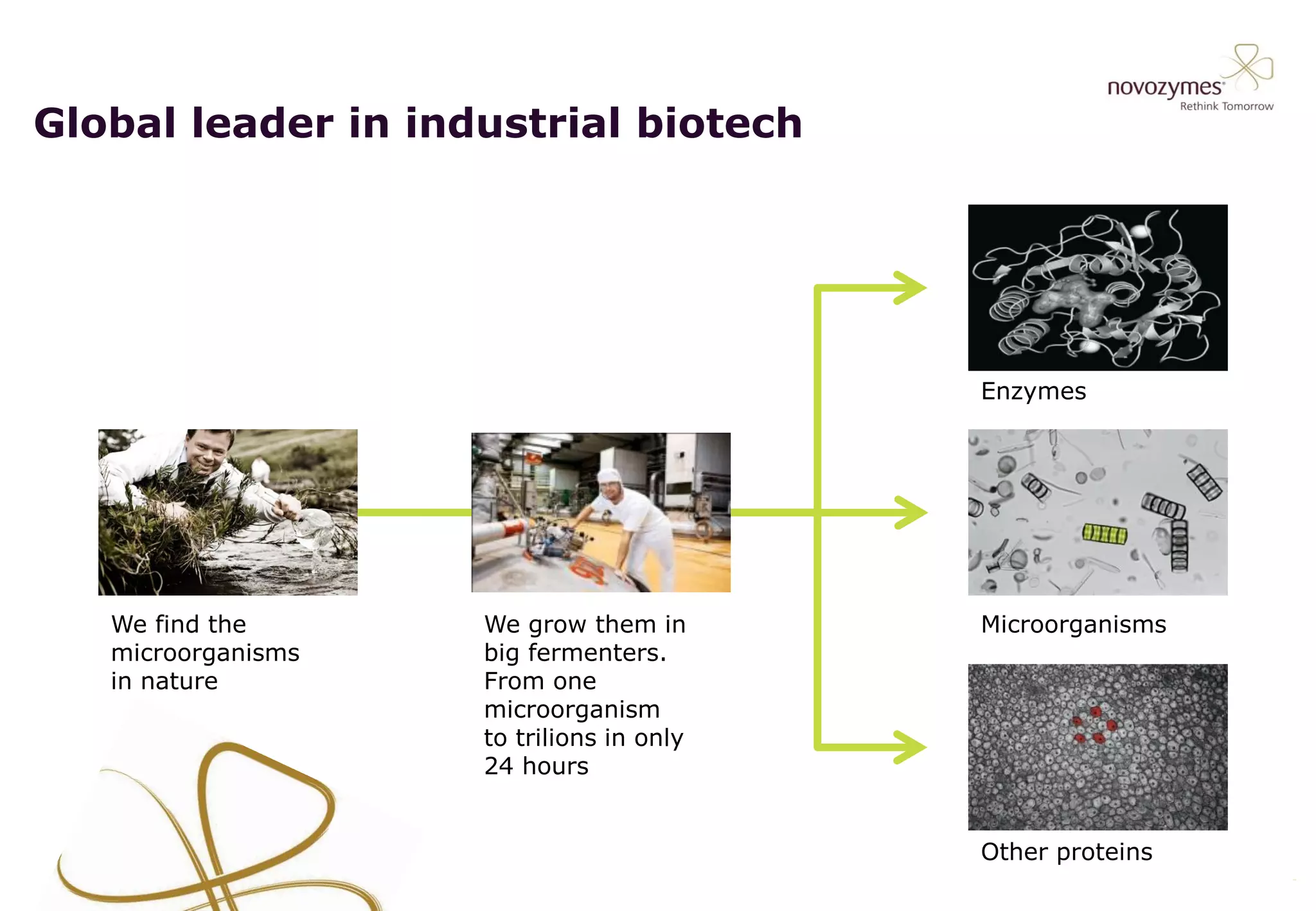 Microorganisms
Enzymes
Other proteins
We find the
microorganisms
in nature
We grow them in
big fermenters.
From one
microorganism
to trilions in only
24 hours
Global leader in industrial biotech
 