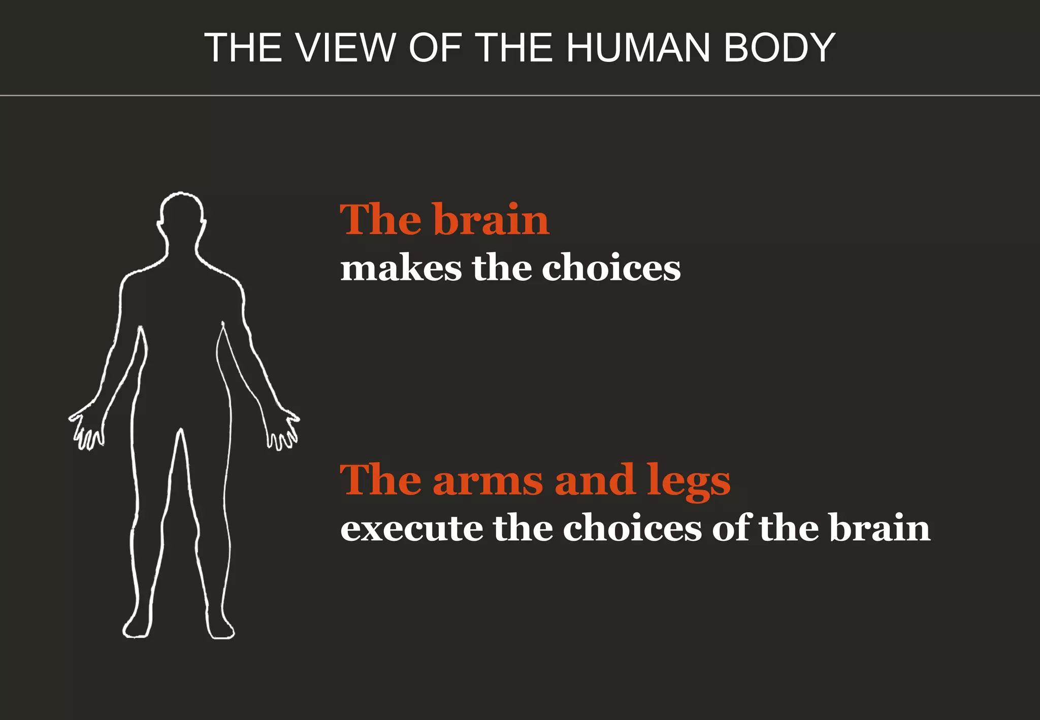 The brain
makes the choices
The arms and legs
execute the choices of the brain
THE VIEW OF THE HUMAN BODY
 