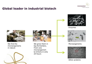 Microorganisms
Enzymes
Other proteins
We find the
microorganisms
in nature
We grow them in
big fermenters.
From one
microorganism
to trilions in only
24 hours
Global leader in industrial biotech
 