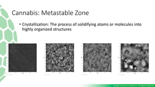 Cannabis: Metastable Zone
• Crystallization: The process of solidifying atoms or molecules into
highly organized structures
 