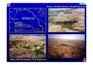 Dielmo, 250-300 habitants, 100-300 PI/pers./an
        17° O     16°    15°   14°   13°   12°

16° N



15°
      DAKAR             SENEGAL
14°
                Dielmo
                 Ndiop
13°




Ndiop, 300-350 habitants, 10-30 PI/pers./an
 