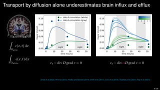 Transport by diffusion alone underestimates brain influx and efflux
Z
Ωgray
c(x, t) dx
Z
Ωwhite
c(x, t) dx
0 10 20 30 40 50
time (hours)
0.00
0.02
0.04
0.06
0.08
0.10
tracer
(mmol)
night night
data & simulation (white)
data & simulation (gray)
ct − div D grad c = 0
0 10 20 30 40 50
time (hours)
0.00
0.02
0.04
0.06
0.08
0.10
tracer
(mmol)
night night
1 2 3 4 5
ct − div αD grad c = 0
[Vinje et al (2023), Iliff et al (2012), Hladky and Barrand (2014), Smith et al (2017), Croci et al (2019), Troyetsky et al (2021), Ray et al (2021)]
5 / 24
 