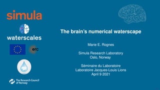 The brain’s numerical waterscape
Marie E. Rognes
Simula Research Laboratory
Oslo, Norway
Séminaire du Laboratoire
Laboratoire Jacques-Louis Lions
April 9 2021
1 / 39
 