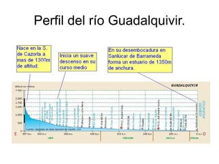 Perfil del río Guadalquivir.
 