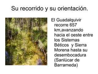 Su recorrido y su orientación.
               El Guadalquivir
                recorre 657
                km,avanzando
                hacia el oeste entre
                los Sistemas
                Béticos y Sierra
                Morena hasta su
                desembocadura
                (Sanlúcar de
                Barrameda)
 