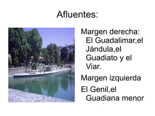 Afluentes:
     Margen derecha:
      El Guadalimar,el
      Jándula,el
      Guadiato y el
      Viar.
     Margen izquierda
     El Genil,el
      Guadiana menor
      y el Guadiara.
 