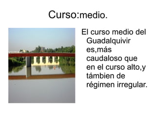 Curso:medio.
      El curso medio del
       Guadalquivir
       es,más
       caudaloso que
       en el curso alto,y
       támbien de
       régimen irregular.
 