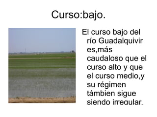 Curso:bajo.
      El curso bajo del
       río Guadalquivir
       es,más
       caudaloso que el
       curso alto y que
       el curso medio,y
       su régimen
       támbien sigue
       siendo irregular.
 