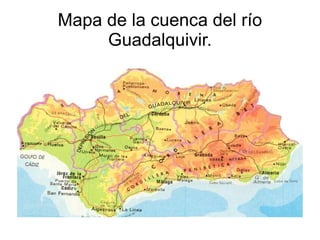 Mapa de la cuenca del río
     Guadalquivir.
 