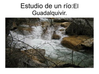 Estudio de un río:El
   Guadalquivir.
 
