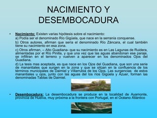 NACIMIENTO Y
DESEMBOCADURA
• Nacimiento: Existen varias hipótesis sobre el nacimiento:
a) Podía ser el denominado Río Gigüela, que nace en la serranía conquense.
b) Otros autores, afirman que sería el denominado Río Záncara, el cual también
tiene su nacimiento en esa zona.
c) Otros afirman, – Alto Guadiana- que su nacimiento es en Las Lagunas de Ruidera,
alimentadas por el Río Pinilla, y que una vez que las aguas abandonan ese paraje,
se infiltran en el terreno y vuelven a aparecer en los denominados Ojos del
Guadiana.
d) La tesis mas aceptada, es que nace en los Ojos del Guadiana, que son una serie
de manantiales que surgen en la zona y que se sitúan en la confluencia de los
términos municipales de Daimiel y Villarrubia de los Ojos. Las surgencias de estos
manantiales u ojos, junto con las aguas del los ríos Gigüela y Azuer, forman las
denominadas Tablas de Daimiel.
• Desembocadura: La desembocadura se produce en la localidad de Ayamonte,
provincia de Huelva, muy próxima a la frontera con Portugal, en el Océano Atlántico
 