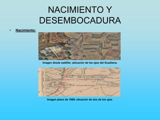 NACIMIENTO Y
DESEMBOCADURA
• Nacimiento:
Imagen desde satélite: ubicación de los ojos del Guadiana.
Imagen plano de 1888: situación de dos de los ojos.
 