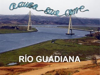 RÍO GUADIANA

 