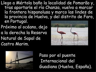 Llego a Mértola baño la localidad de Pomarão y,
  tras aportarle el río Chanza, vuelvo a marcar
  la frontera hispanolusa y marco las lindes de
  la provincia de Huelva, y del distrito de Faro,
  en Portugal.
Próximo al océano, dejo
a la derecha la Reserva
Natural de Sapal de
Castro Marim.

                    Paso por el puente
                     Internacional del
                    Guadiana (Huelva, España).
 