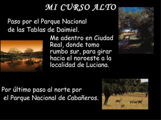 MI CURSO ALTO
  Paso por el Parque Nacional
  de las Tablas de Daimiel.
                 Me adentro en Ciudad
                 Real, donde tomo
                 rumbo sur, para girar
                 hacia el noroeste a la
                 localidad de Luciana.


Por último paso al norte por
 el Parque Nacional de Cabañeros.
 