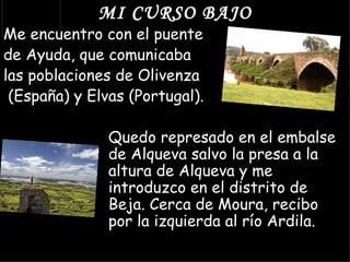 MI CURSO BAJO
Me encuentro con el puente
de Ayuda, que comunicaba
las poblaciones de Olivenza
 (España) y Elvas (Portugal).

               Quedo represado en el embalse
               de Alqueva salvo la presa a la
               altura de Alqueva y me
               introduzco en el distrito de
               Beja. Cerca de Moura, recibo
               por la izquierda al río Ardila.
 