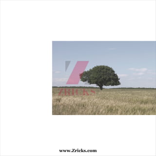 www.Zricks.com
 