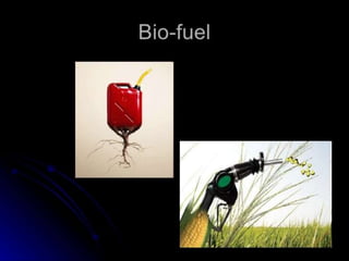 RENEWABLE ENERGY SOURCES BY ROHAN AND ANU....