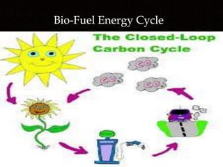 RENEWABLE ENERGY SOURCES BY ROHAN AND ANU....