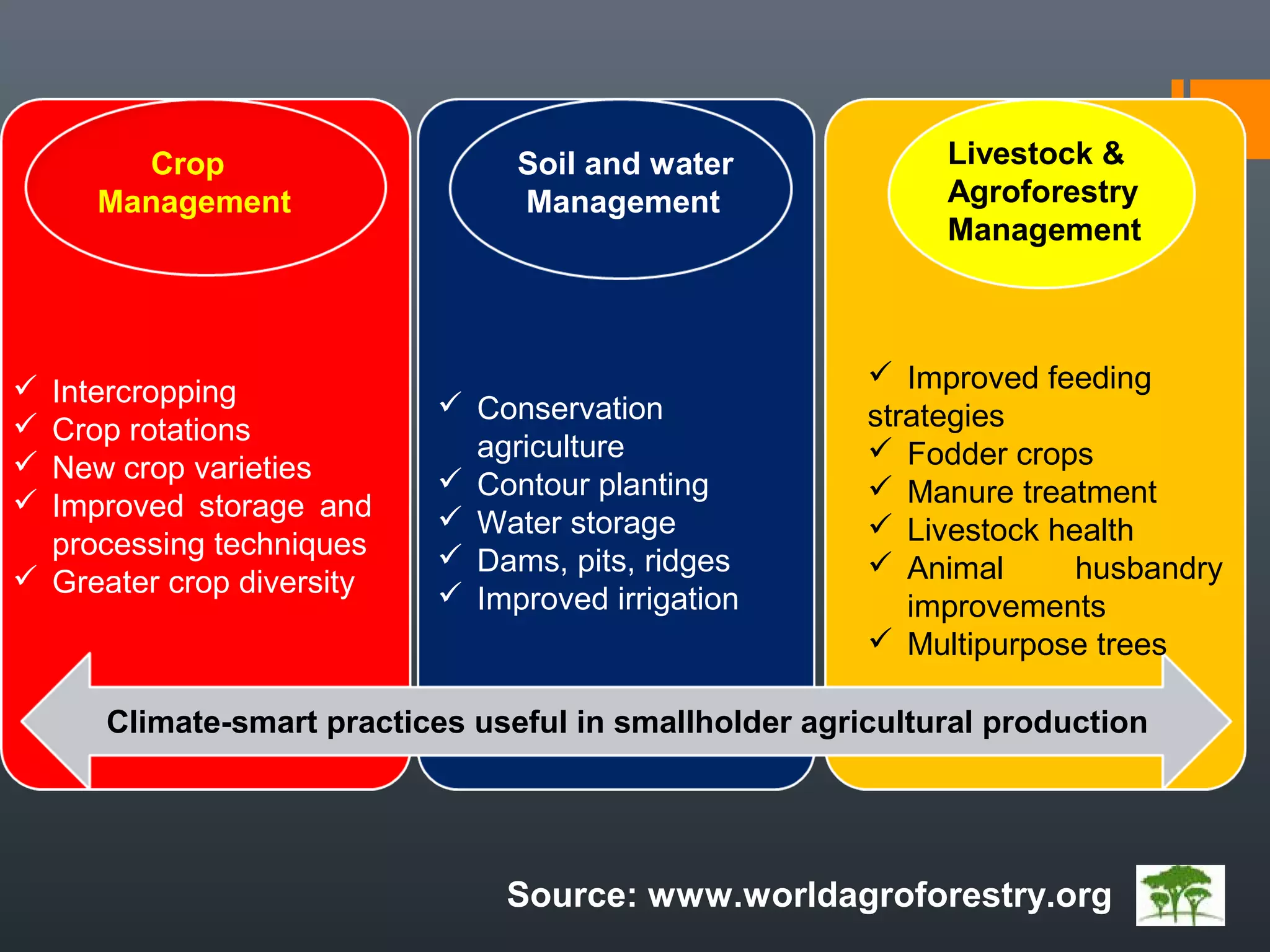 Crop
Management
 Intercropping
 Crop rotations
 New crop varieties
 Improved storage and
processing techniques
 Greater crop diversity
Soil and water
Management
 Conservation
agriculture
 Contour planting
 Water storage
 Dams, pits, ridges
 Improved irrigation
Livestock &
Agroforestry
Management
 Improved feeding
strategies
 Fodder crops
 Manure treatment
 Livestock health
 Animal husbandry
improvements
 Multipurpose trees
Climate-smart practices useful in smallholder agricultural production
Source: www.worldagroforestry.org
 