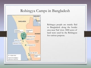Rohingya Camps in Bangladesh
Rohingya people are mainly fled
to Bangladesh along the border
area near Naf river. 3000 acres of
land were used by the Rohingyas
for various purpose.
 