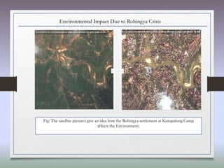 Environmental Impact Due to Rohingya Crisis
Fig: The satellite pictures give an idea how the Rohingya settlement at Kutupalong Camp
affects the Environment.
 
