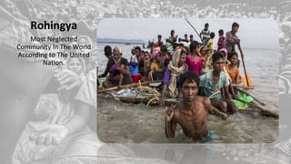 Rohingya
Most Neglected
Community In The World
According to The United
Nation.
 