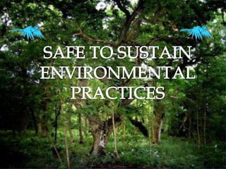 SAFE TO SUSTAIN ENVIRONMENTAL PRACTICES 