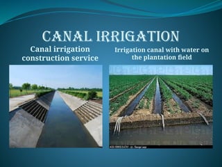 CANAL IRRIGATION
Canal irrigation
construction service
Irrigation canal with water on
the plantation field
 
