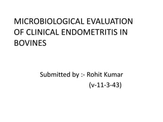 MICROBIOLOGICAL EVALUATION
OF CLINICAL ENDOMETRITIS IN
BOVINES
Submitted by :- Rohit Kumar
(v-11-3-43)
 