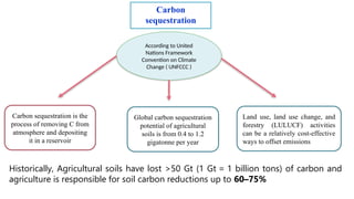 Historically, Agricultural soils have lost >50 Gt (1 Gt = 1 billion tons) of carbon and
agriculture is responsible for soil carbon reductions up to 60–75%
According to United
Nations Framework
Convention on Climate
Change ( UNFCCC )
Carbon sequestration is the
process of removing C from
atmosphere and depositing
it in a reservoir
Global carbon sequestration
potential of agricultural
soils is from 0.4 to 1.2
gigatonne per year
Land use, land use change, and
forestry (LULUCF) activities
can be a relatively cost-effective
ways to offset emissions
Carbon
sequestration
 