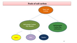 Total Soil
Carbon
Soil organic Carbon
(Eg. Humus) Soil Inorganic
Carbon (Eg.
carbonates )
Active Slow Passive
Pools of soil carbon
13
 