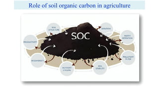 Role of soil organic carbon in agriculture
 