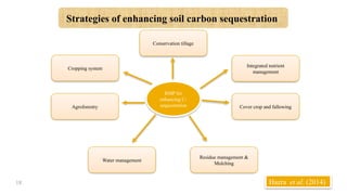Strategies of enhancing soil carbon sequestration
18 Hazra et al. (2014)
Cropping system
Agroforestry
Water management
Residue management &
Mulching
Cover crop and fallowing
Conservation tillage
Integrated nutrient
management
RMP for
enhancing C-
sequestration
 