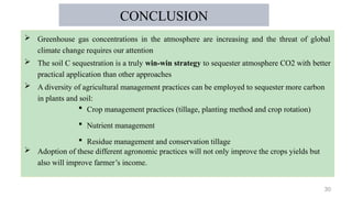 30
CONCLUSION
 Greenhouse gas concentrations in the atmosphere are increasing and the threat of global
climate change requires our attention
 The soil C sequestration is a truly win-win strategy to sequester atmosphere CO2 with better
practical application than other approaches
 A diversity of agricultural management practices can be employed to sequester more carbon
in plants and soil:
 Adoption of these different agronomic practices will not only improve the crops yields but
also will improve farmer’s income.
 Crop management practices (tillage, planting method and crop rotation)
 Nutrient management
 Residue management and conservation tillage
 