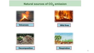 8
Natural sources of CO2 emission
Wild fires
Volcanoes
Respiration
Decomposition
 