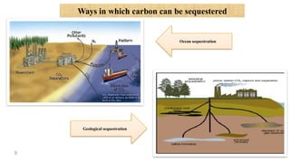 Ways in which carbon can be sequestered
9
Ocean sequestration
Geological sequestration
 