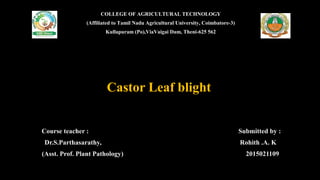 Castor Leaf blight
Course teacher : Submitted by :
Dr.S.Parthasarathy, Rohith .A. K
(Asst. Prof. Plant Pathology) 2015021109
COLLEGE OF AGRICULTURAL TECHNOLOGY
(Affiliated to Tamil Nadu Agricultural University, Coimbatore-3)
Kullapuram (Po),ViaVaigai Dam, Theni-625 562
 