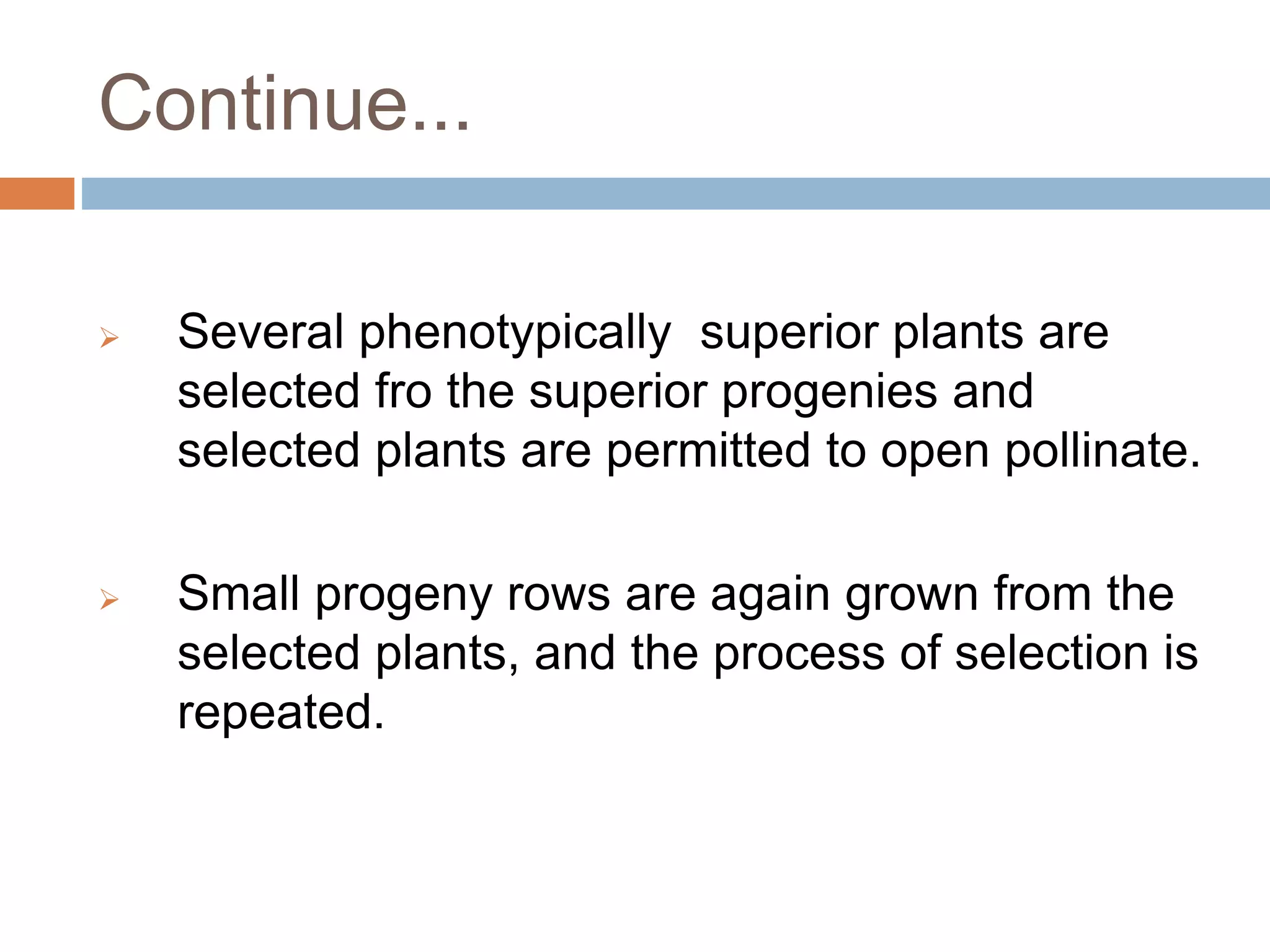 Continue...
 Several phenotypically superior plants are
selected fro the superior progenies and
selected plants are permitted to open pollinate.
 Small progeny rows are again grown from the
selected plants, and the process of selection is
repeated.
 