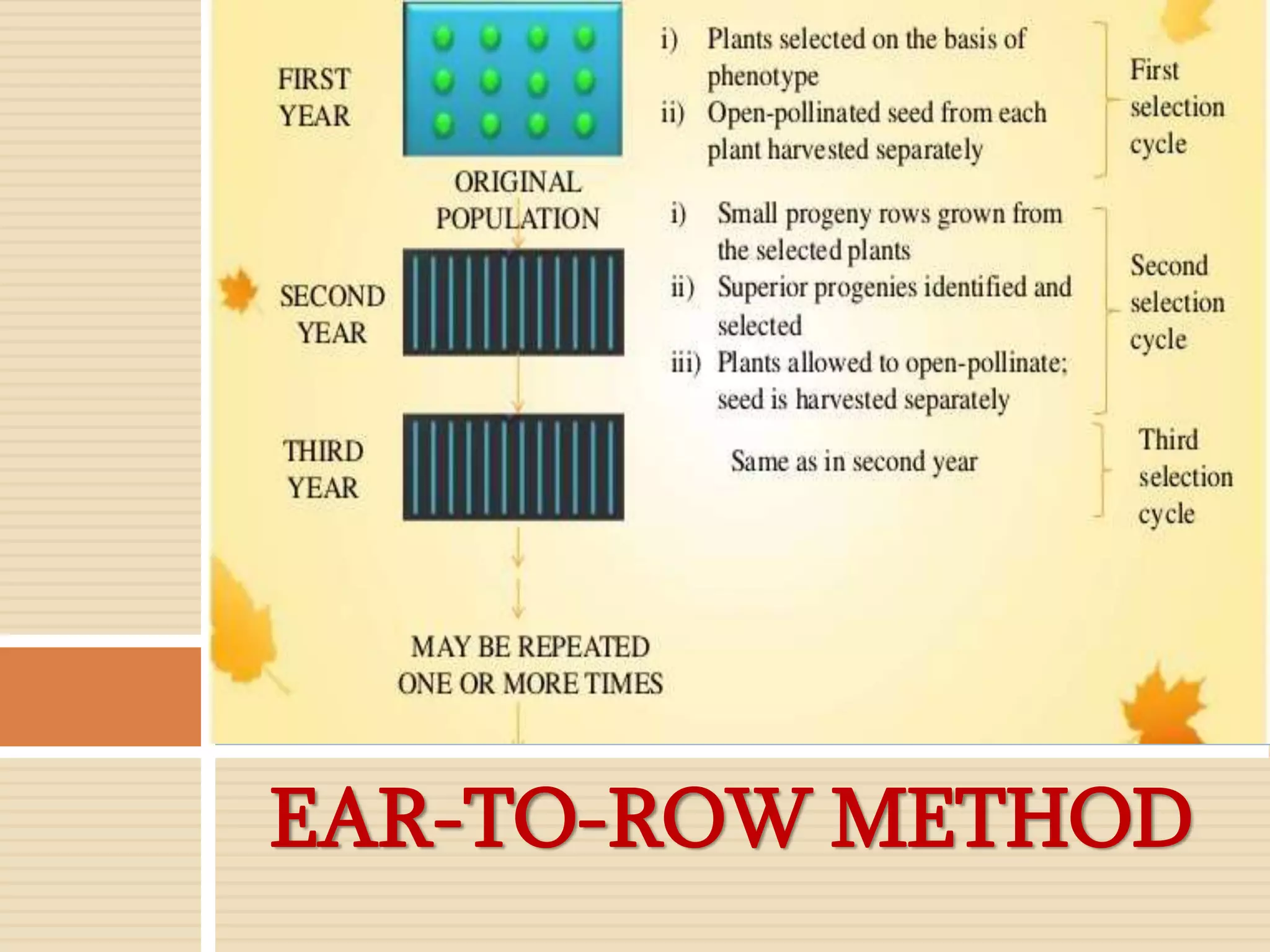 EAR-TO-ROW METHOD
 