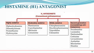 Histamine and Its Receptors (H1–H4): Physiology and Therapeutic ...